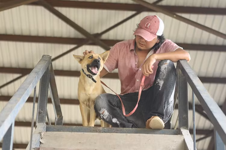 Nhiều người tò mò danh tính đạo diễn quyết tâm chọn chú chó Nhật Bản đóng vai "Cậu Vàng".