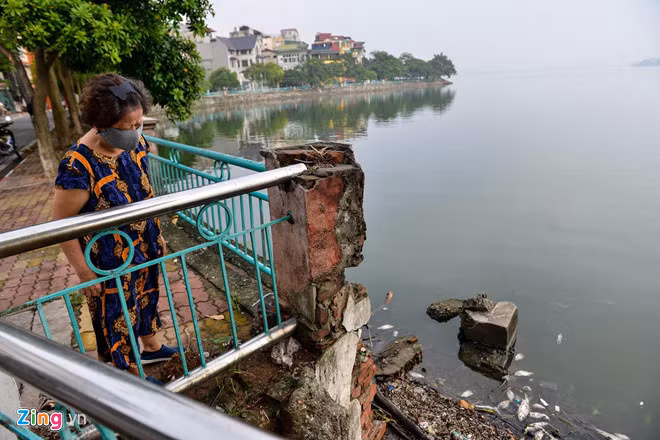 He lo ly do ca chet bat thuong tren cac ho o Ha Noi?-Hinh-2