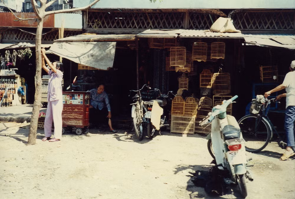Cửa hàng bán chim cảnh.