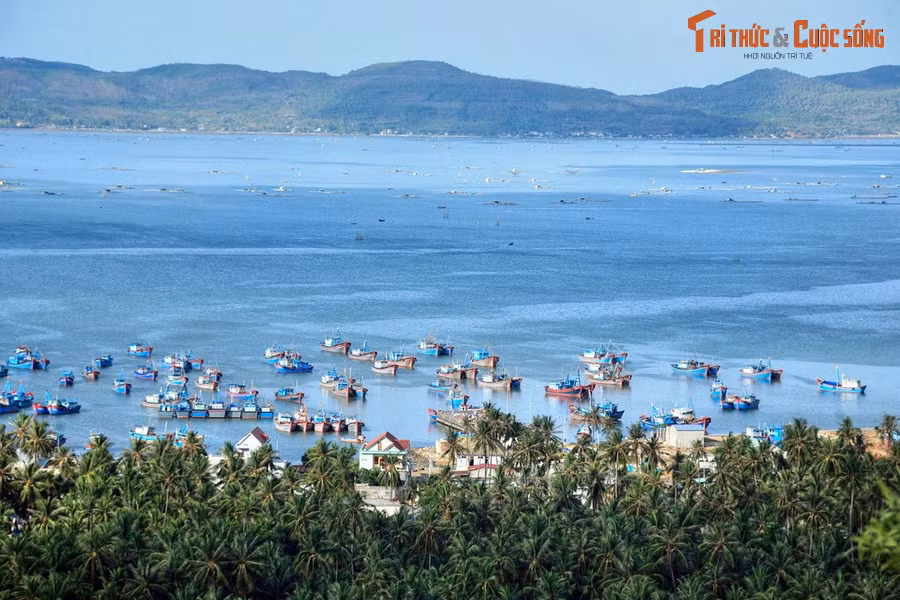  3. Vịnh Xuân Đài. Là một vịnh nhỏ nằm dưới chân dốc Găng thuộc địa phận Thị xã Sông Cầu, vịnh Xuân Đài là một trong những vịnh được các chuyên gia đánh giá là có tiềm năng du lịch lớn nhất nhì miền Trung với cảnh sắc hữu tình, có nhiều đảo, bãi tắm rất đẹp và hoang sơ.