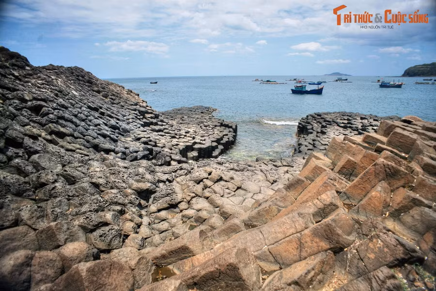  1. Gành Đá Đĩa. Tọa lạc tại bờ biển xã An Ninh Đông, huyện Tuy An, Gành Đá Đĩa được coi là một kỳ quan địa chất của Việt Nam. Đây là một gành đá được hợp thành từ vô vàn trụ đá hình xếp liền nhau kề với sóng nước. Nhìn từ xa, nơi này trông giống một tổ ong khổng lồ.