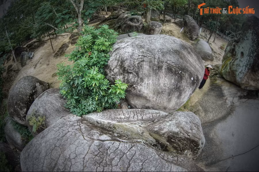 Một ngày nọ, nàng tiên hết hạn mang lốt cò và được phép trở về tiên giới. Con cò biến thành một người con gái nhan sắc tuyệt trần. Nhưng nàng không trở lại thiên đình mà nguyện ở lại bên người ngư phủ. 