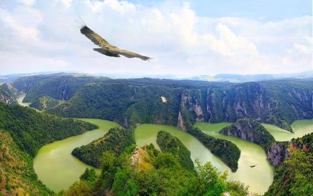 Sông Uvac chảy qua Serbia, Bosnia và Herzegovina. Dòng sông có nước màu xanh lá cây và uốn lượn quanh co, tạo ra cảnh tượng vô cùng hùng vỹ.