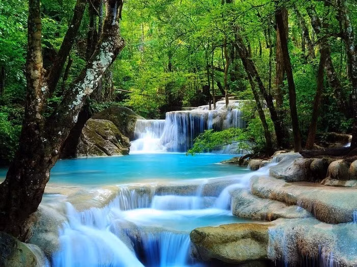 Bên trong công viên này là một khu rừng tươi tốt, được bảo vệ bởi những ngọn núi ngăn sự xâm nhập của gió mùa, cùng với một thác nước tuyệt đẹp mang lại sự sống cho 7 hồ nước tự nhiên khác.