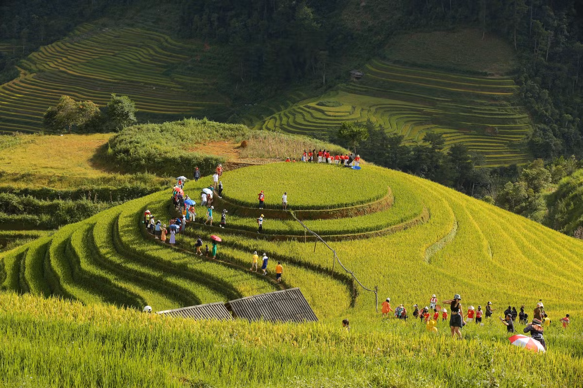 Ruộng bậc thang Mâm xôi - công trình kiến trúc nghệ thuật mang đầy tính sáng tạo của đồng bào Mông, là 1 điểm du lịch đẹp luôn hấp dẫn du khách.