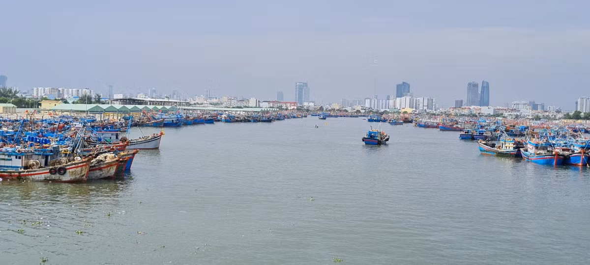 Chủ tịch UBND thành phố Lê Trung Chinh cho biết, hiện nay, Đà Nẵng đã triển khai các biện pháp sẵn sàng ứng phó khi bão Noru đổ bộ, đảm bảo an toàn cho nhân dân. >>> Mời độc giả xem thêm video Quỹ đạo và cường độ bão Conson rất phức tạp, khó lường: