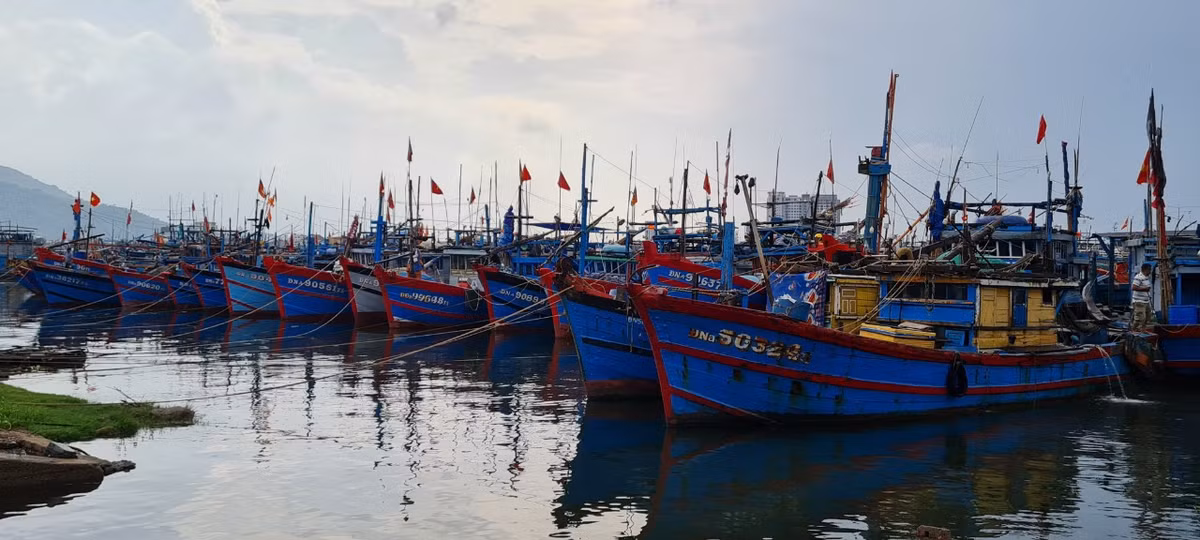Tính đến nay, lực lượng chức năng đã kiểm đếm được hơn 1.200 tàu cá vào neo đậu tại âu thuyền.