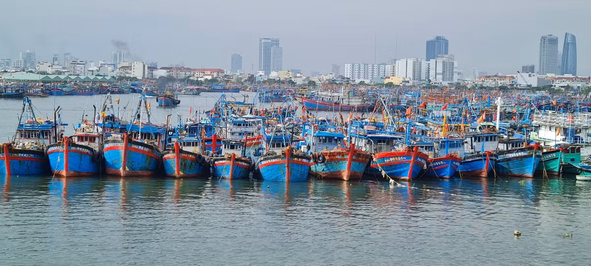 Hiện tại, thành phố Đà Nẵng vẫn còn 35 tàu cá hoạt động trên biển, trong đó có 7 tàu gần bờ, số còn lại đang được hướng dẫn để ngư dân thoát ra khỏi vùng nguy hiểm và dịch chuyển vào gần bờ an toàn.