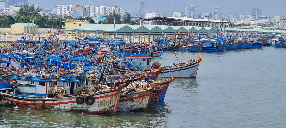 UBND thành phố Đà Nẵng đã yêu cầu các lực lượng chức năng bố trí lực lượng thường trực phòng cháy, chữa cháy khi neo đậu tàu thuyền tránh trú bão tại Âu thuyền Thọ Quang và vịnh Mân Quang không để xảy ra tai nạn, cháy nổ.