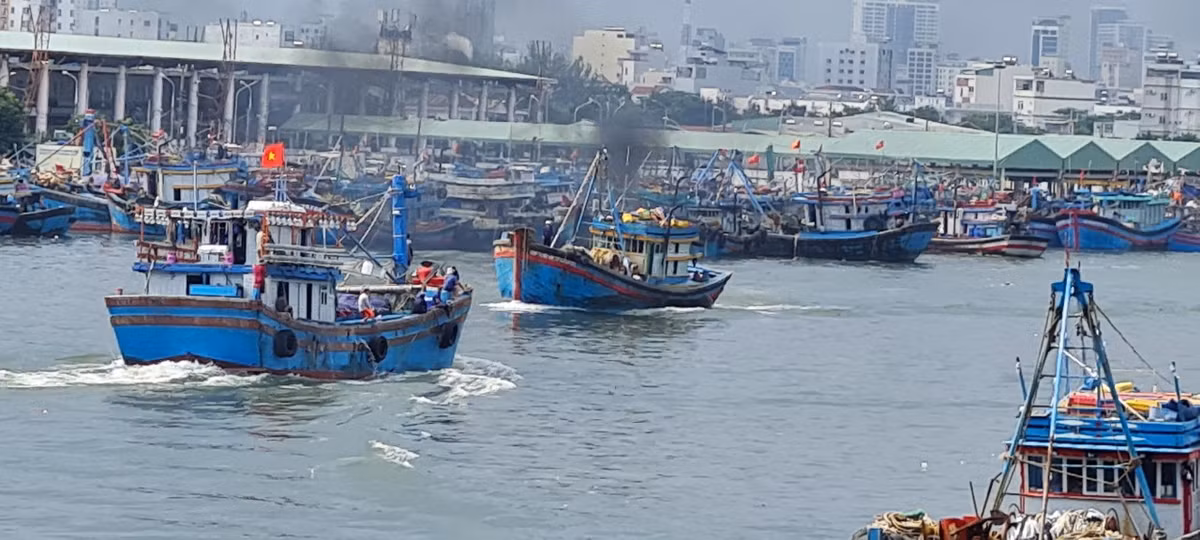 Để phòng tránh các sự cố cháy nổ, thành phố đã hoàn thành việc di dời các tàu chở dầu ra khỏi Âu thuyền và cảng cá Thọ Quang đến nơi neo đậu an toàn.