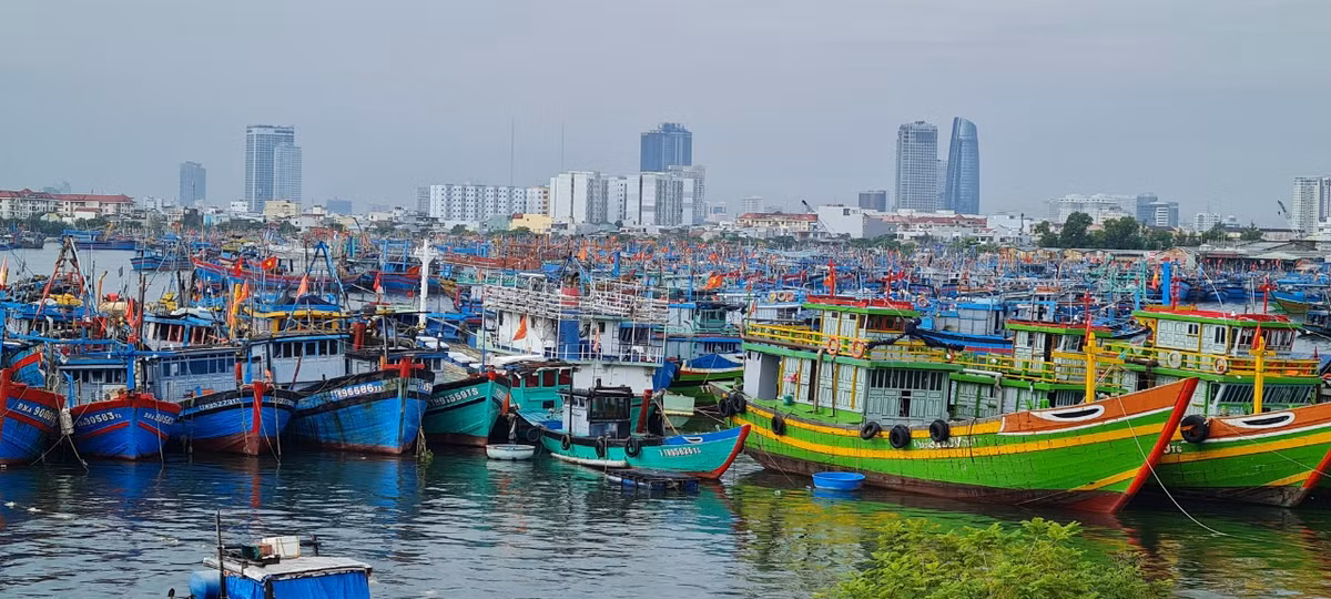 Âu thuyền Thọ Quang là nơi nhiều ngư dân miền Trung chọn làm nơi neo đậu tàu thuyền, tránh trú bão. Âu thuyền có thể cùng lúc tiếp nhận khoảng 1.200 tàu công suất 30CV trở lên.