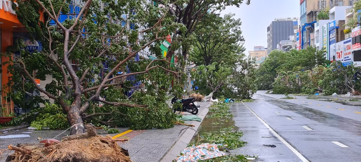 Nhưng bão số 4 đã làm ngã đổ nhiều cây xanh.