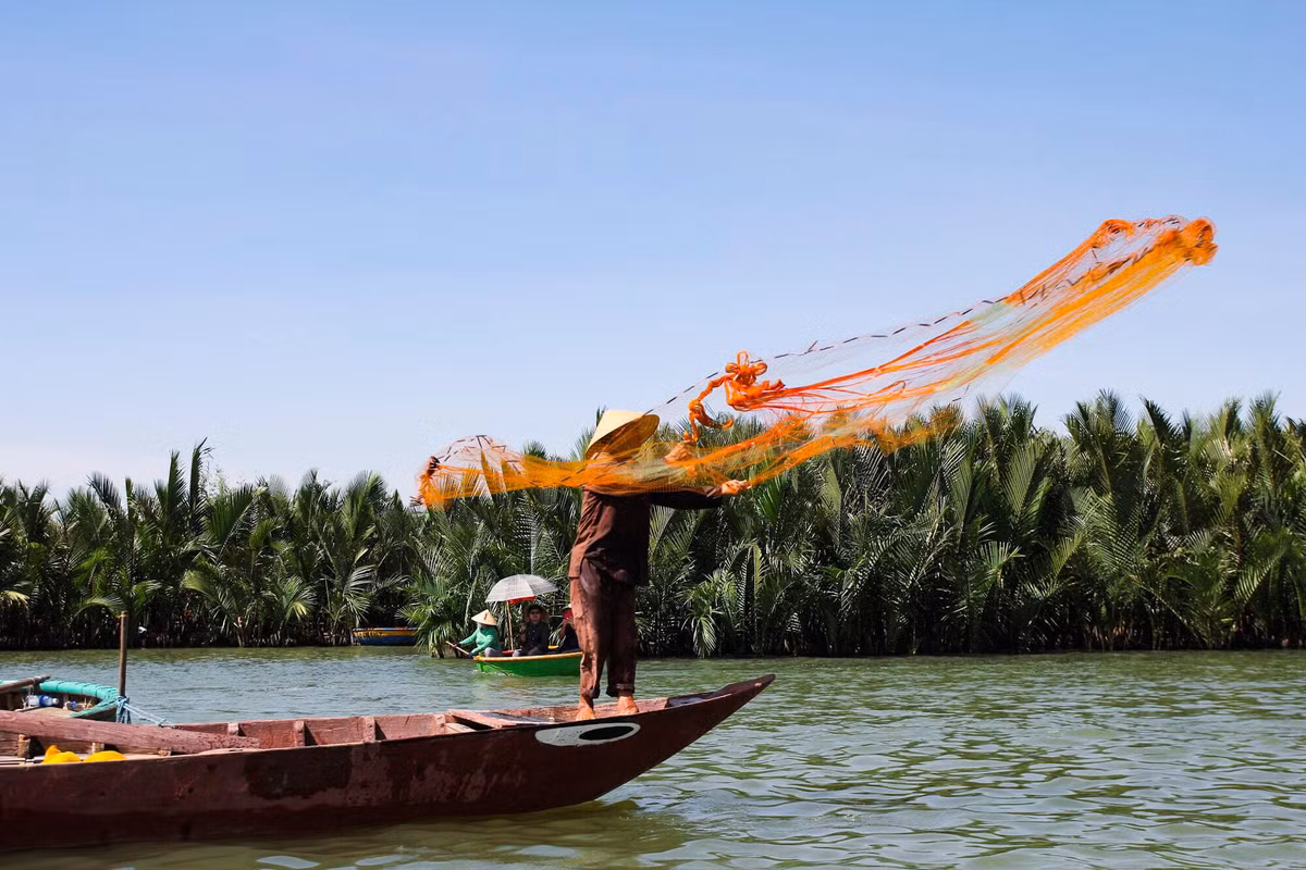  Rừng dừa Bảy Mẫu nằm cách trung tâm phố cổ Hội An tầm 3 km về phía Đông Nam.