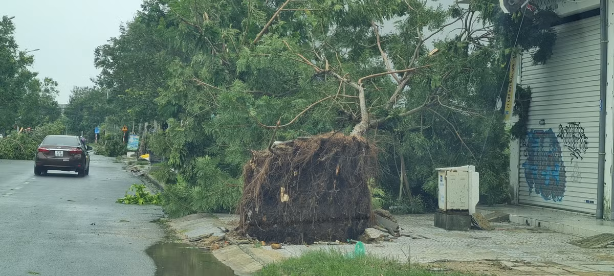 Quang Nam - Da Nang: Nhung thiet hai ban dau sau bao Noru do bo