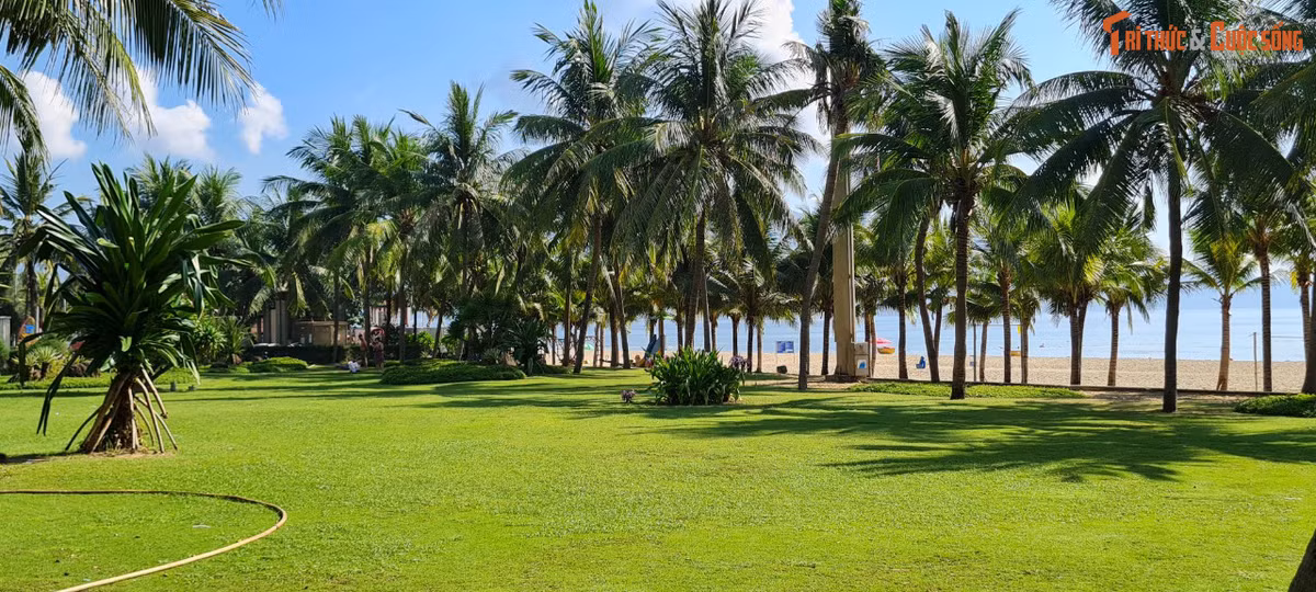Bãi biển Phạm Văn Đồng, nằm bên cạnh công viên Biển Đông.