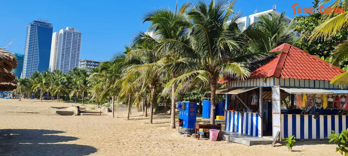 Bãi biển Mỹ Khê Đà Nẵng đẹp mê hoặc gần như thu hút du khách đến nghỉ dưỡng quanh năm.