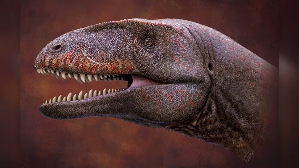 Con thú này được mô tả dưới tên gọi là Carcharodontosaurs, là một con khủng long có răng cá mập, là anh em họ và là đối thủ cạnh tranh của khủng long bạo chúa. Nó sống ở Uzbekistan khoảng 90 triệu năm trước. Cơ thể dài 8 mét và nặng 1.000 kg.