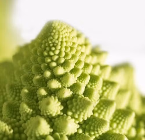 So với những cây súp lơ thường, súp lơ Romanesco rất giàu vitamin C, vitamin K, chất xơ và carotenoids, vị ngọt mát, khi xào lên giòn hơn, có vị ngon tinh tế hơn.