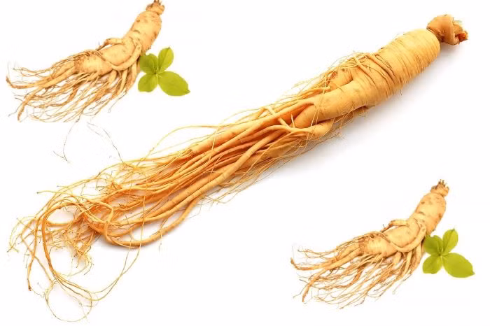 Đặc biệt, nhân sâm giúp giảm các cơn đau do viêm và làm dịu các triệu chứng trầm uất trong thời kỳ mãn kinh. Ảnh: namlimxanh.