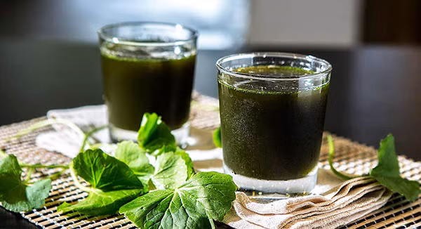 Khi bị nóng gan, bạn có thể uống nước rau má. Đây là loài cây nổi tiếng với công dụng làm mát cơ thể, giải độc, lợi tiểu, chống viêm… Ảnh: giammoantoan.