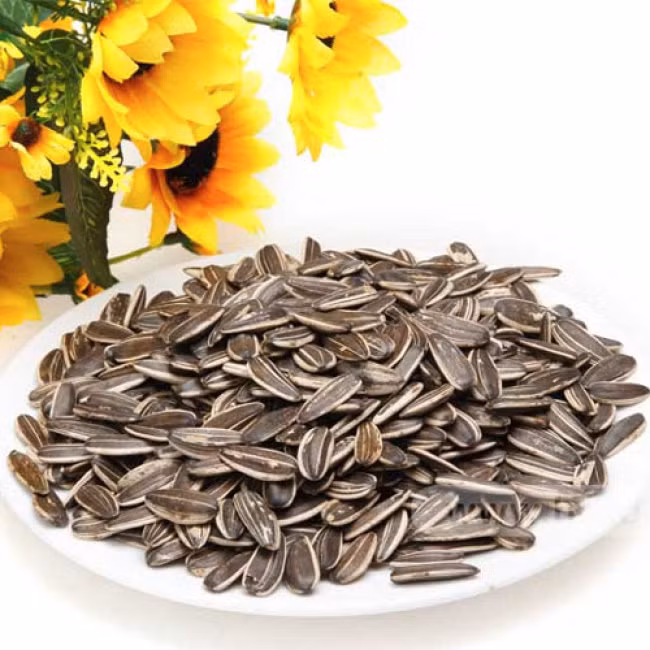 Hạt hướng dương - một món ăn vặt quen thuộc với giới trẻ cũng có khả năng loại bỏ độc tố ra khỏi cơ thể, ngăn ngừa sự hình thành cholesterol, giảm mỡ máu. Ảnh: hotdeal.