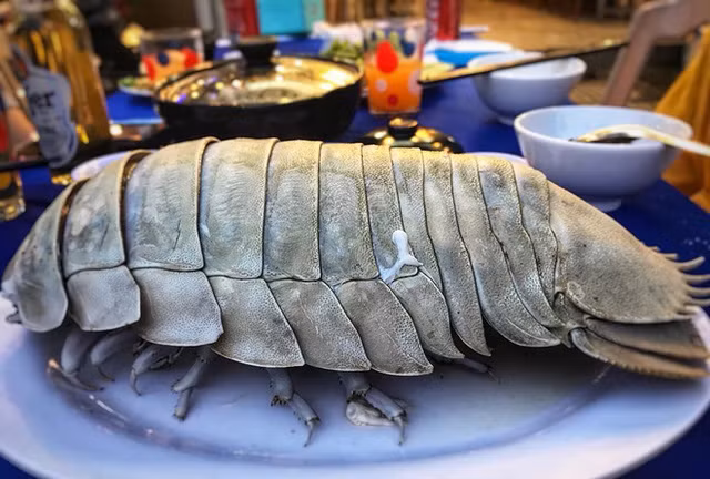 Loai hai san menh danh 