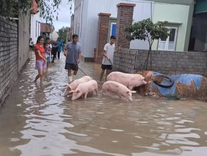 Mua lu Nghe An: 700 ngoi nha bi ngap, sat, 1 nguoi bi nuoc cuon mat tich-Hinh-2