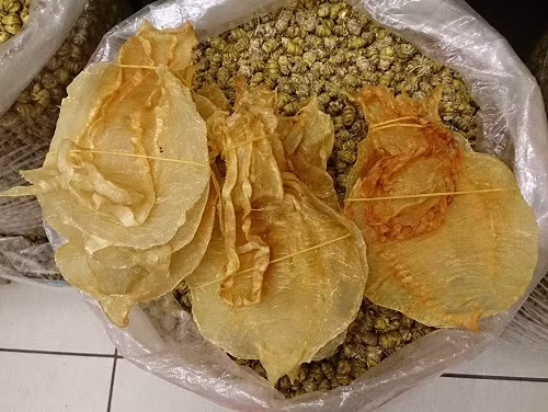 Món bong bóng cá vược totoaba và cá heo vaquita là hai loại bóng cá cao cấp được săn lùng nhiều nhất để chế biến món ăn siêu đắt phục vụ đại gia và những món ăn làm thuốc. Ảnh: Báo mới.