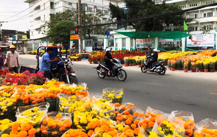Theo ghi nhận của nhóm PV Kiến Thức, dù chỉ còn hơn 10 tiếng đồng hồ nữa đến thời khắc Giao thừa đón năm mới Kỷ Hợi, tuy nhiên nhiều điểm bán hoa Tết vẫn còn đầy ắp hàng. Ảnh trên đường Đỗ Xuân Hợp, quận 9, TP HCM.