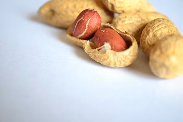 8. Dầu ngô / Omega-6 Chúng ta cần axit béo omega 6 trong chế độ ăn uống để thúc đẩy tăng trưởng và phát triển khỏe mạnh. Tuy nhiên, chúng ta không cần nhiều omega-6 như omega-3 (có trong dầu cá), vì quá nhiều omega-6 kích hoạt các hóa chất gây viêm được giải phóng trong cơ thể.