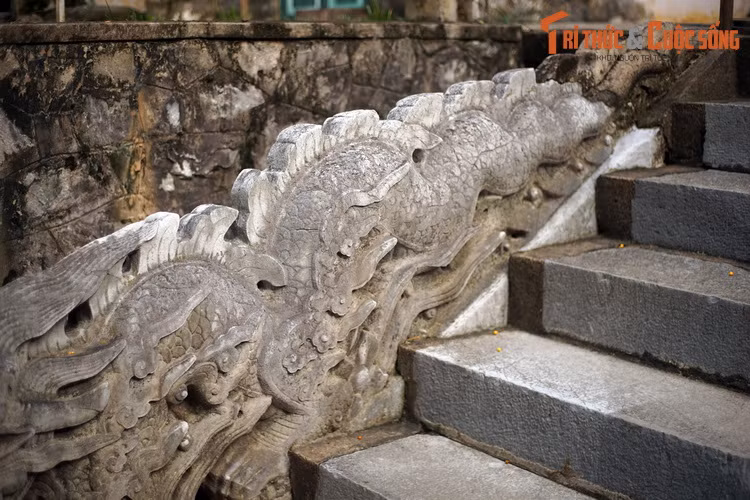 Lưng rồng có hàng vây dựng lên như như những ngọn lửa. Chân rồng có 5 móng.