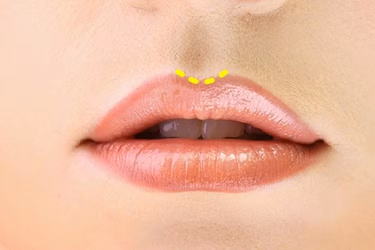 7. Môi trên và nhân trung không tạo đường cong Nếu bạn sở hữu một đôi môi như thế này, có thể bạn là một người rất từ bi, nhạy cảm và tốt bụng. Bạn rất dễ động lòng bởi những người có hoàn cảnh khó khăn và luôn muốn giúp đỡ họ. 