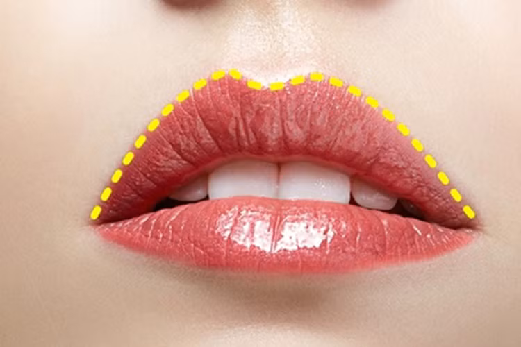 2. Môi trên lớn hơn môi dưới Người có hình dáng môi như thế này thường là những người dễ xúc động, rất lôi cuốn, yêu cuộc sống và muốn là tâm điểm sự chú ý. Sở hữu cái tôi cao và có khả năng thu hút người khác. Những cụm từ dành cho họ là vui tính và nổi bật. 