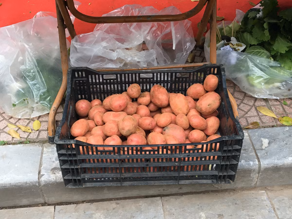 Khoai tây vỏ đỏ, ruột vàng thịt bở vị đậm cũng là thực phẩm ngon nhưng chưa bán phổ biến ở các chợ truyền thống.
