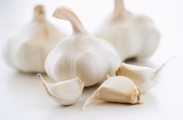 Ngoài ra, tỏi rang giúp điều chỉnh cholesterol ngăn ngừa các bệnh ở tim mạch, kéo dài tuổi thọ, tăng khả năng miễn dịch cho cơ thể. 