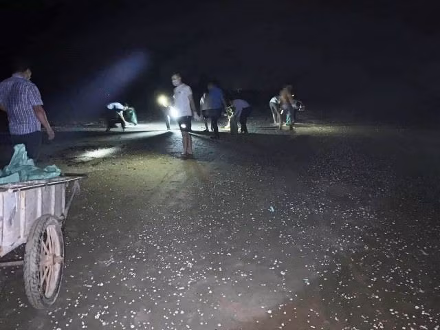 Ca chet dat vao bo bien Ha Tinh trai dai khoang 4km-Hinh-2
