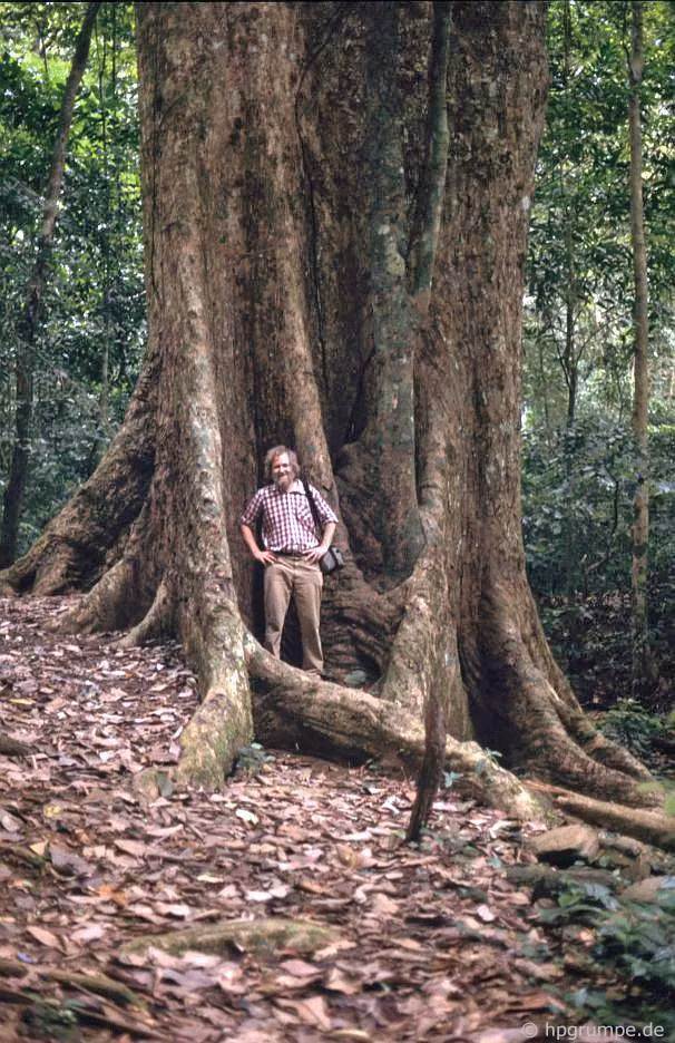 Dù vậy, cảnh quan thiên nhiên hoang sơ của Cúc Phương đã khiến ông bị choáng ngợp. Ảnh: Hans-Peter Grumpe.