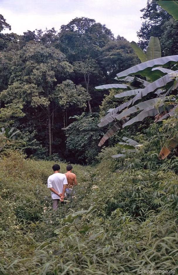 "Hãy cẩn thận khi đi bộ, khu rừng này rất nhiều con đỉa", Hans-Peter Grumpe chia sẻ. Ảnh: Hans-Peter Grumpe.