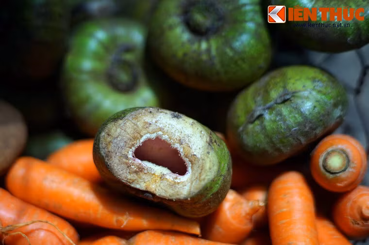 Quả vả khi chín có vị ngòn ngọt, giòn giòn lẫn chút chát chát, có thể được dùng để ăn tươi.