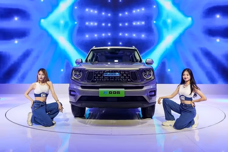 Ngoài ra, Haval H-Dog còn có cụm điều khiển trung tâm nằm cao, tạo thành vách ngăn giữa 2 ghế trước. Trên cụm điều khiển trung tâm được ốp giả sợi carbon có cần số như cần đẩy máy bay, núm xoay hình tròn, sạc không dây, phanh tay điện tử và tự động giữ phanh tạm thời.