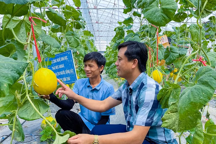 Ứng dụng CNTT, MTTQ Nghệ An kết nối người dân qua mạng xã hội - Hình 4 Ung dung CNTT, MTTQ Nghe An ket noi nguoi dan qua mang xa hoi-Hinh-4