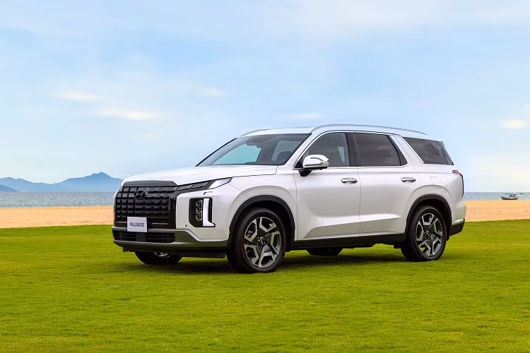 Cung cấp sức mạnh cho Hyundai Palisade là động cơ dầu R 2.2 (mã hiệu D4HB) cho công suất tối đa 200 mã lực tại 3.800 vòng/phút cùng Momen xoắn cực đại 440Nm ngay từ 1.750 vòng/phút. Đi kèm với động cơ này là hộp số tự động 8 cấp và hệ thống dẫn động 4 bánh thông minh HTRAC.