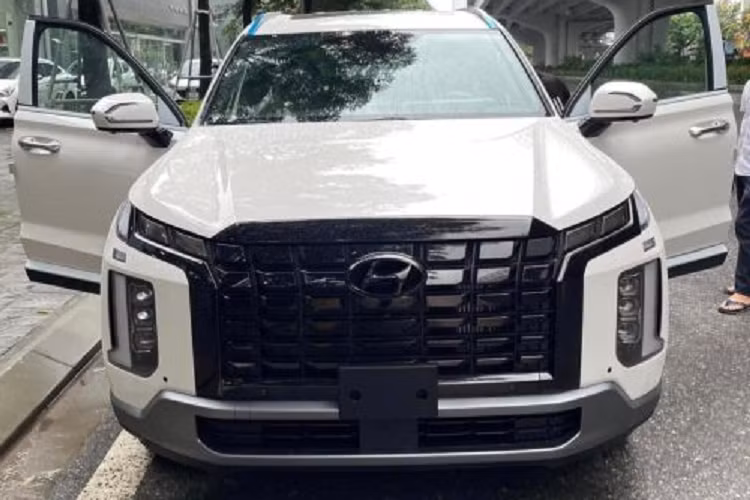 Được định vị ở phân khúc SUV cỡ E, trên Hyundai SantaFe một bậc, nhưng với mức giá hấp dẫn, Hyundai Palisade tại Việt Nam có thể sẽ thu hút cả những khách hàng của “người anh em” Santa Fe và những xe ở phân khúc cỡ D khác. Hyundai Palisade là một chiếc SUV được định vị cao cấp nhất trong đội ngũ những chiếc SUV Hyundai.