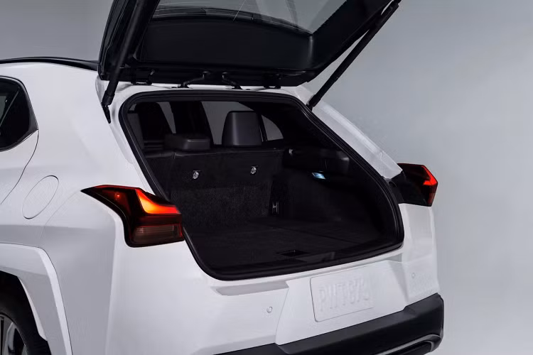 So với các đàn anh SUV tại Mỹ, Lexus UX 250h 2024 là mẫu xe gầm cao sử dụng động cơ hybrid có giá bán cạnh tranh nhất ở thời điểm hiện tại. Tại khu vực Đông Nam Á, Lexus UX ra mắt lần đầu tại Triển lãm ô tô quốc tế Gaikindo Indonesia 2018. Sau đó là các nước trong khu vực như Malaysia, Singapore và Thái Lan.