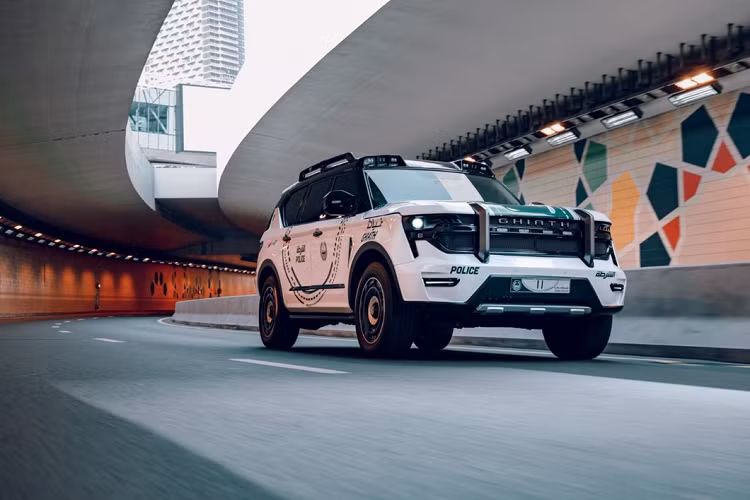 Một số cái tên tiêu biểu trong dàn xe cảnh sát khủng ở Dubai khiến nhiều người choáng ngợp là Bugatti Veyron, Aston Martin One-77, Lamborghini Aventador LP700-4, Mercedes-Benz SLS AMG, McLaren MP4-12C Audi R8, Ferrari FF…