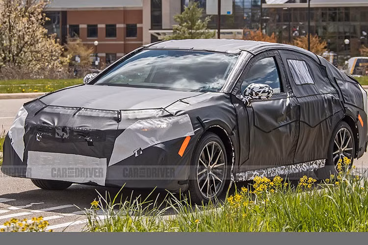Hiện Toyota Camry đã bị "khai tử" tại thị trường Nhật Bản do doanh số kém. Tuy nhiên, ở nhiều thị trường trên thế giới, mẫu xe này vẫn tiếp tục được phân phối và gặt hái thành công. Cả ở Mỹ và Việt Nam, Toyota Camry đều là mẫu sedan hạng D bán chạy nhất.