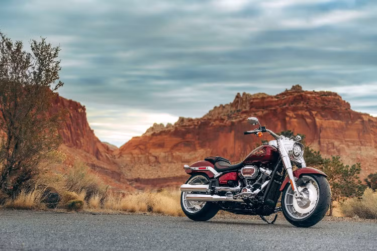 Trừ CVO Road Glide Limited Anniversary 117ci, 6 mẫu xe đều được sơn ngoại thất tông màu đỏ bóng Heirloom Red đặc trưng cùng các đường kẻ viền màu đỏ tươi, cùng với màu đỏ sẫm - Midnight Crimson bên trong; tông màu chuyển sắc từ đậm sang nhạt.