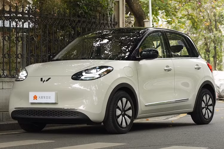 Tại thị trường Trung Quốc, đối thủ cạnh tranh chính của Wuling Bingo là BYD Seagull . BYD Seagull được ra mắt vào cuối tháng 4, với mẫu cơ sở cung cấp phạm vi hoạt động 305 km và có giá 73.800 nhân dân tệ. Về hiệu suất bán hàng, BYD Seagull đã bán được 14.300 xe trong tháng 5.