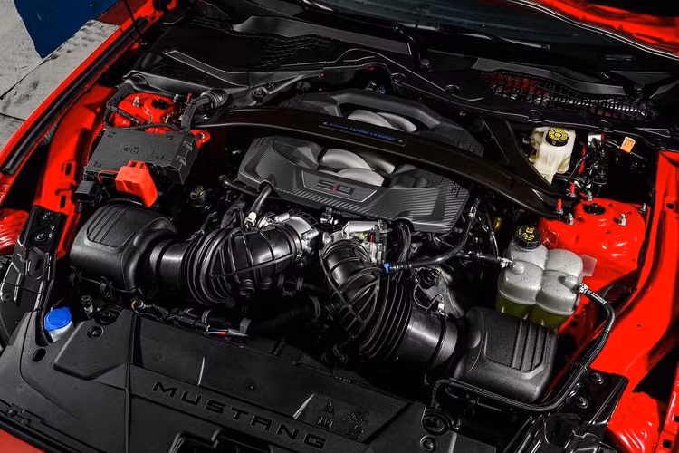 “Những chiếc Mustang tăng áp của chúng tôi đã liên tục được khách hàng yêu thích trong những năm qua và nền tảng S650 cải tiến của Ford sẽ chứng tỏ khả năng tốt nhất của nó.