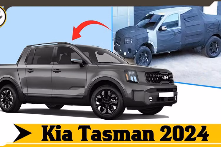 Dự kiến, mẫu xe bán tải nhà Kia sẽ chính thức ra mắt thị trường Úc vào năm 2025. Ông Damien Meredith, Giám đốc Kia Úc, nói với giới truyền thông rằng hãng đặt mục tiêu chiếm thị phần 10% trong phân khúc xe bán tải ở xứ sở chuột túi. Trong khi đó, ông Roland Rivero, Giám đốc sản phẩm của Kia Úc, cho biết Tasman sẽ là xe bán tải toàn cầu.